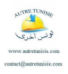 Other Tunisia - Travel & Co